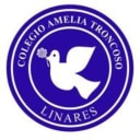 Colegio Amelia Troncoso