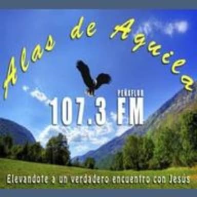 Alas de Águila