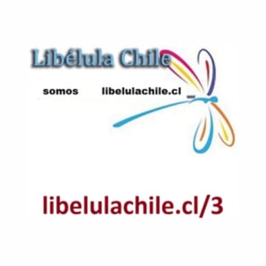 libelulachile.cl/3