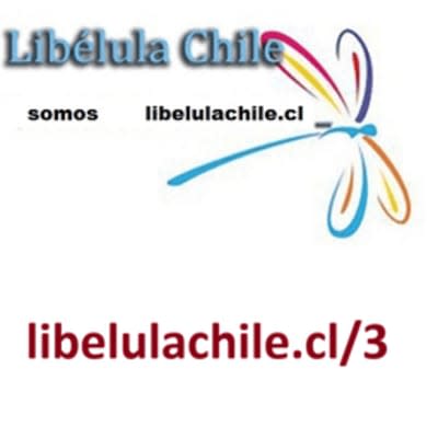 libelulachile.cl/3